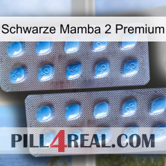 Black Mamba 2 Premium viagra4